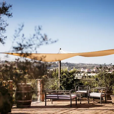 Gramolina Nizza Villa *