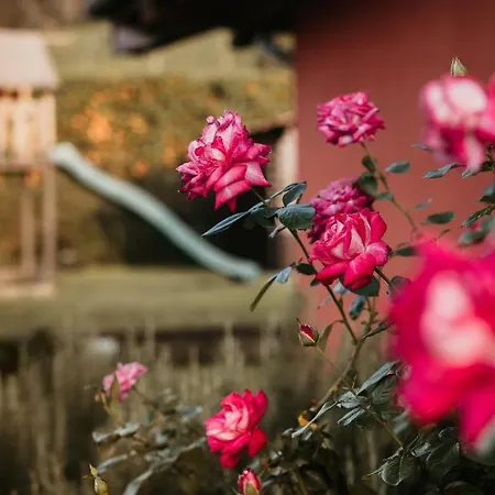 Gramolina Nizza * Nizza Monferrato