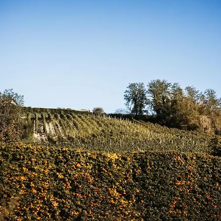 Gramolina Nizza Villa