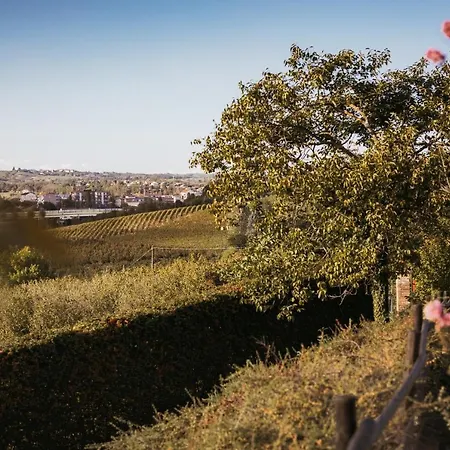 Gramolina Nizza * Nizza Monferrato