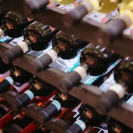 Villa Gramolina Nizza *