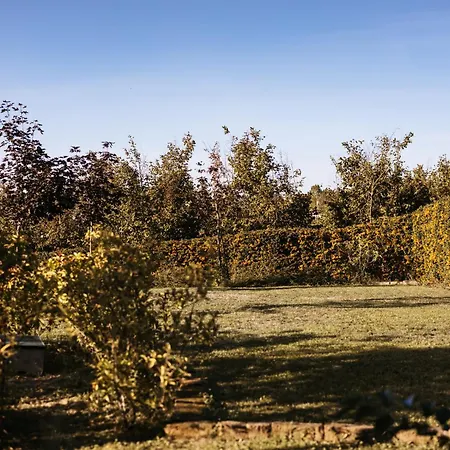 Gramolina Nizza * Nizza Monferrato