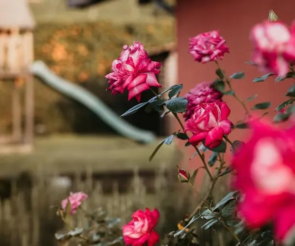 Gramolina Nizza * Nizza Monferrato