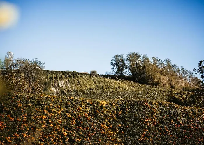 Gramolina Nizza Villa