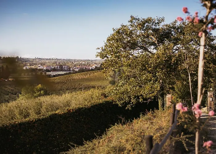 Gramolina Nizza * Nizza Monferrato