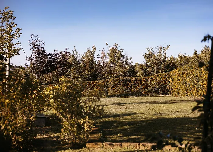 Gramolina Nizza * Nizza Monferrato